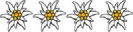 4 Edelweiss